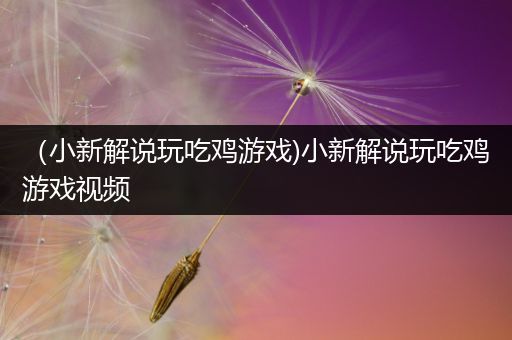 （小新解说玩吃鸡游戏)小新解说玩吃鸡游戏视频