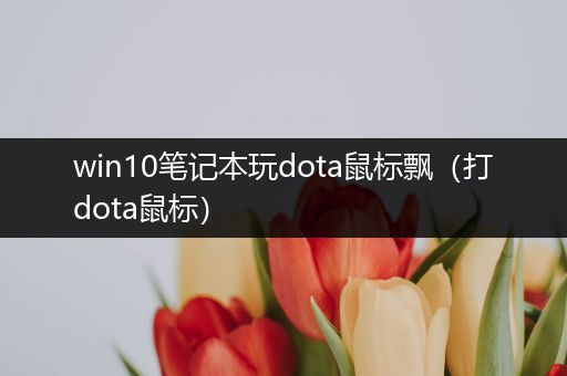 win10笔记本玩dota鼠标飘（打dota鼠标）