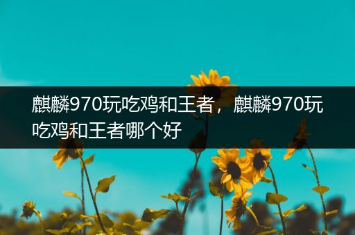 麒麟970玩吃鸡和王者，麒麟970玩吃鸡和王者哪个好