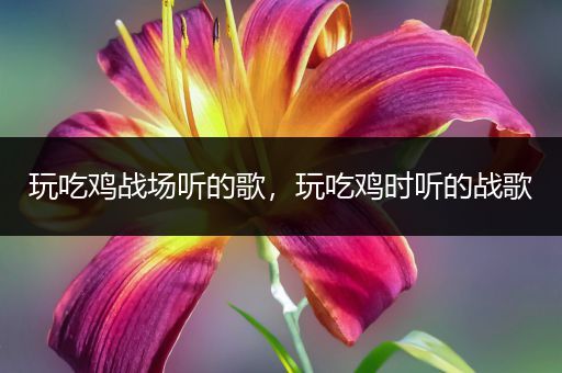 玩吃鸡战场听的歌，玩吃鸡时听的战歌