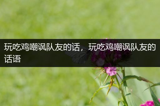 玩吃鸡嘲讽队友的话，玩吃鸡嘲讽队友的话语