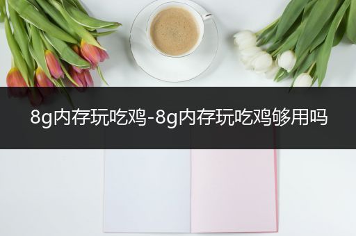 8g内存玩吃鸡-8g内存玩吃鸡够用吗