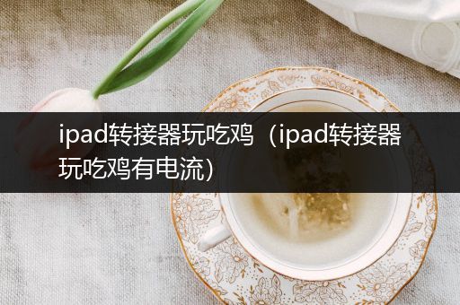 ipad转接器玩吃鸡（ipad转接器玩吃鸡有电流）