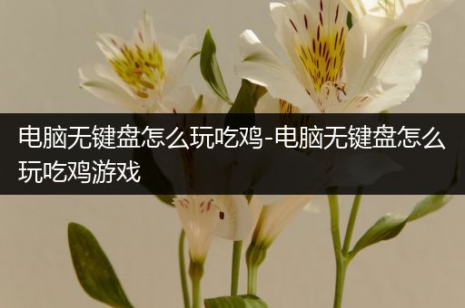 电脑无键盘怎么玩吃鸡-电脑无键盘怎么玩吃鸡游戏