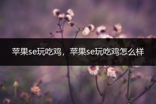 苹果se玩吃鸡，苹果se玩吃鸡怎么样