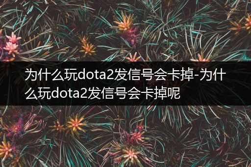 为什么玩dota2发信号会卡掉-为什么玩dota2发信号会卡掉呢