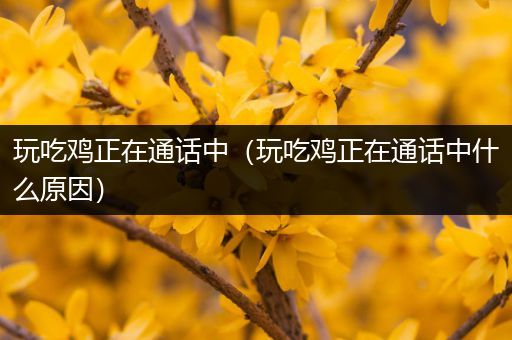 玩吃鸡正在通话中（玩吃鸡正在通话中什么原因）