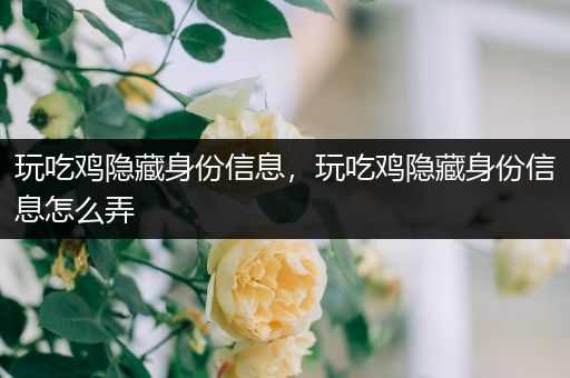 玩吃鸡隐藏身份信息，玩吃鸡隐藏身份信息怎么弄