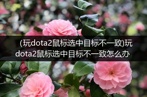 （玩dota2鼠标选中目标不一致)玩dota2鼠标选中目标不一致怎么办