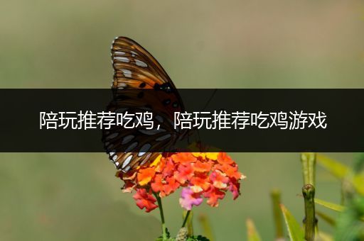 陪玩推荐吃鸡，陪玩推荐吃鸡游戏