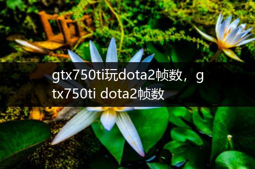 gtx750ti玩dota2帧数，gtx750ti dota2帧数