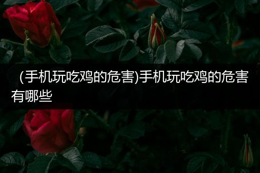 （手机玩吃鸡的危害)手机玩吃鸡的危害有哪些