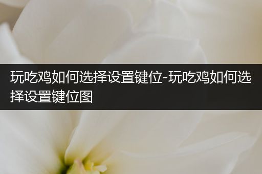 玩吃鸡如何选择设置键位-玩吃鸡如何选择设置键位图
