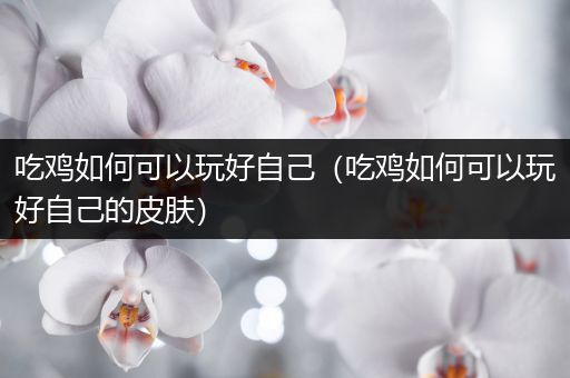 吃鸡如何可以玩好自己（吃鸡如何可以玩好自己的皮肤）