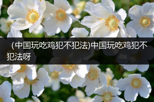 （中国玩吃鸡犯不犯法)中国玩吃鸡犯不犯法呀