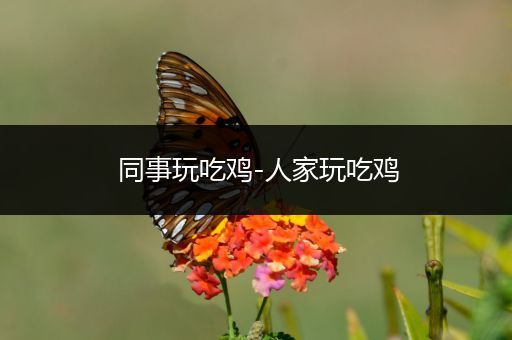 同事玩吃鸡-人家玩吃鸡