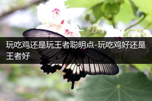 玩吃鸡还是玩王者聪明点-玩吃鸡好还是王者好
