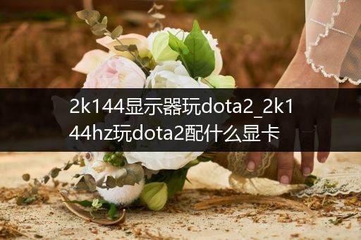 2k144显示器玩dota2_2k144hz玩dota2配什么显卡