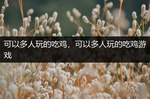 可以多人玩的吃鸡，可以多人玩的吃鸡游戏