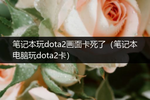 笔记本玩dota2画面卡死了（笔记本电脑玩dota2卡）