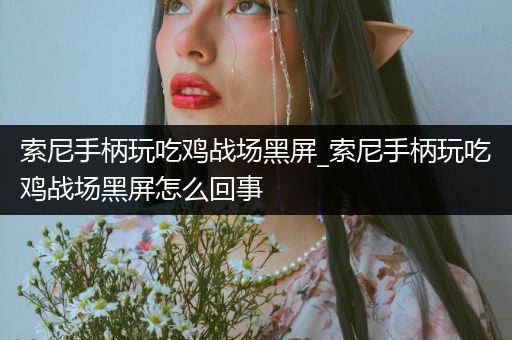 索尼手柄玩吃鸡战场黑屏_索尼手柄玩吃鸡战场黑屏怎么回事