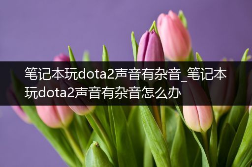 笔记本玩dota2声音有杂音_笔记本玩dota2声音有杂音怎么办