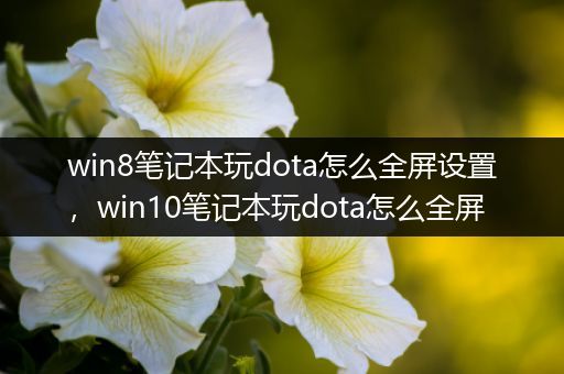 win8笔记本玩dota怎么全屏设置，win10笔记本玩dota怎么全屏