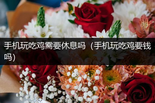手机玩吃鸡需要休息吗（手机玩吃鸡要钱吗）