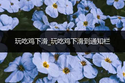 玩吃鸡下滑_玩吃鸡下滑到通知栏