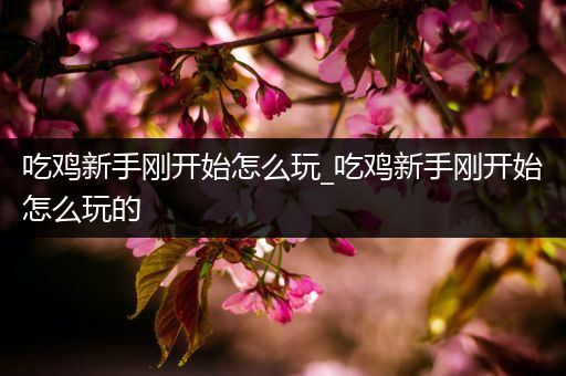 吃鸡新手刚开始怎么玩_吃鸡新手刚开始怎么玩的