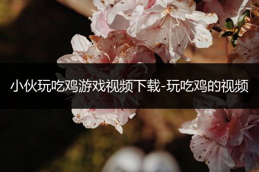 小伙玩吃鸡游戏视频下载-玩吃鸡的视频