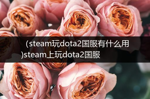 （steam玩dota2国服有什么用)steam上玩dota2国服