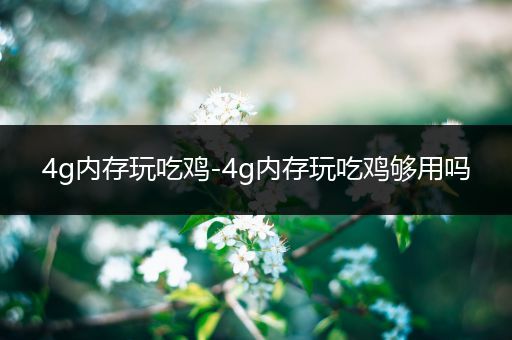 4g内存玩吃鸡-4g内存玩吃鸡够用吗