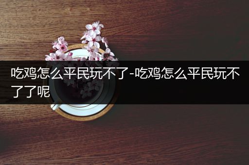 吃鸡怎么平民玩不了-吃鸡怎么平民玩不了了呢