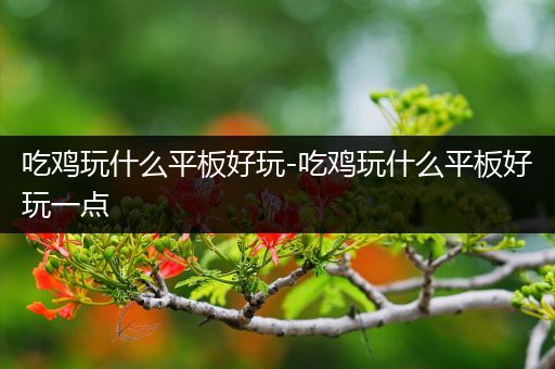 吃鸡玩什么平板好玩-吃鸡玩什么平板好玩一点