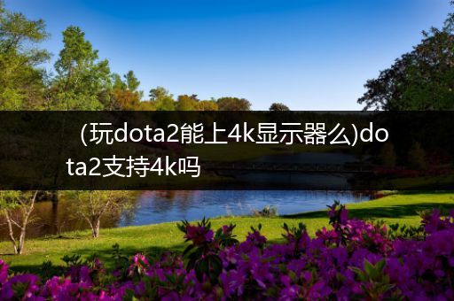 （玩dota2能上4k显示器么)dota2支持4k吗