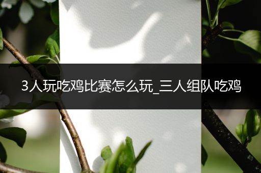 3人玩吃鸡比赛怎么玩_三人组队吃鸡
