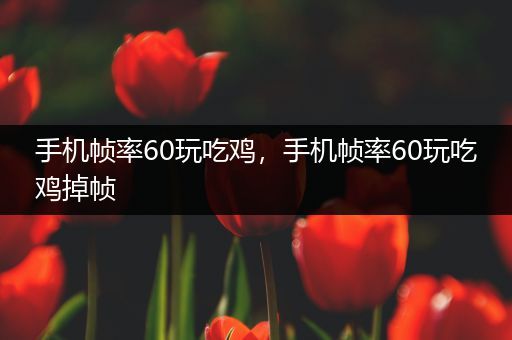 手机帧率60玩吃鸡，手机帧率60玩吃鸡掉帧