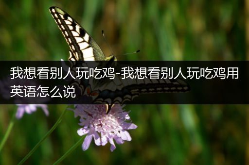 我想看别人玩吃鸡-我想看别人玩吃鸡用英语怎么说
