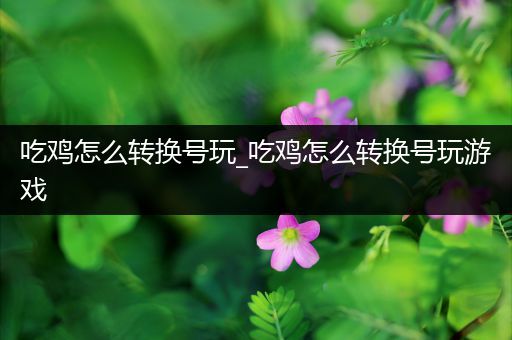 吃鸡怎么转换号玩_吃鸡怎么转换号玩游戏