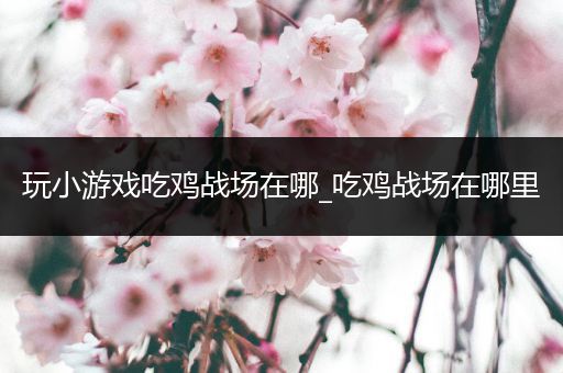 玩小游戏吃鸡战场在哪_吃鸡战场在哪里