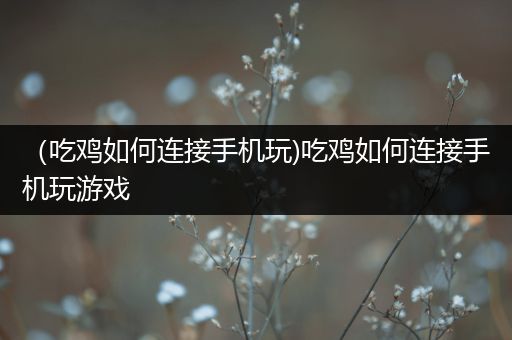 （吃鸡如何连接手机玩)吃鸡如何连接手机玩游戏
