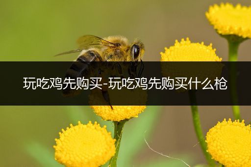 玩吃鸡先购买-玩吃鸡先购买什么枪