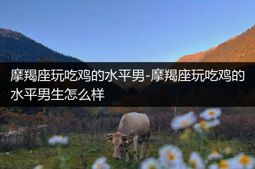 摩羯座玩吃鸡的水平男-摩羯座玩吃鸡的水平男生怎么样