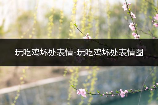 玩吃鸡坏处表情-玩吃鸡坏处表情图