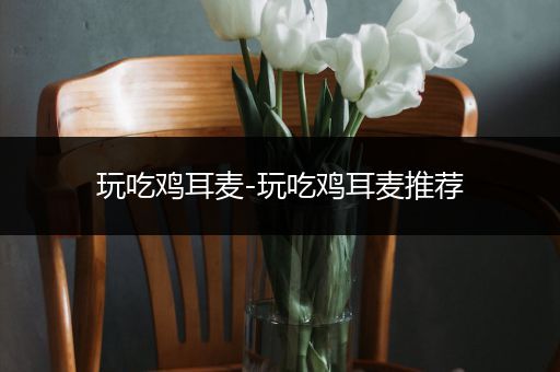 玩吃鸡耳麦-玩吃鸡耳麦推荐