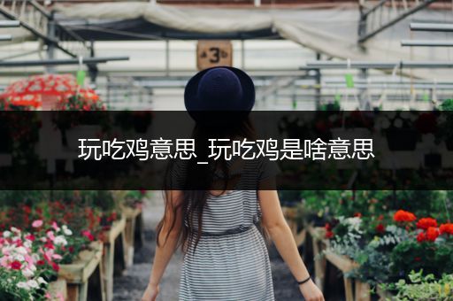 玩吃鸡意思_玩吃鸡是啥意思