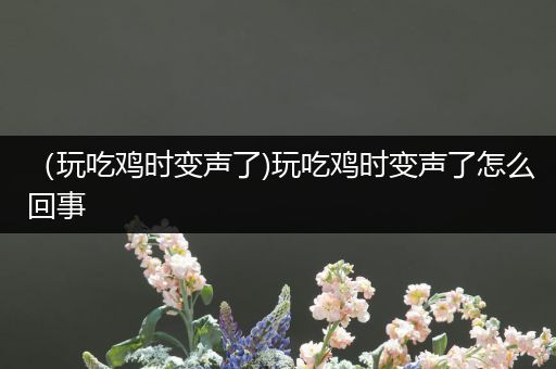 （玩吃鸡时变声了)玩吃鸡时变声了怎么回事