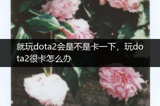 就玩dota2会是不是卡一下，玩dota2很卡怎么办