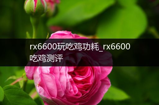 rx6600玩吃鸡功耗_rx6600吃鸡测评